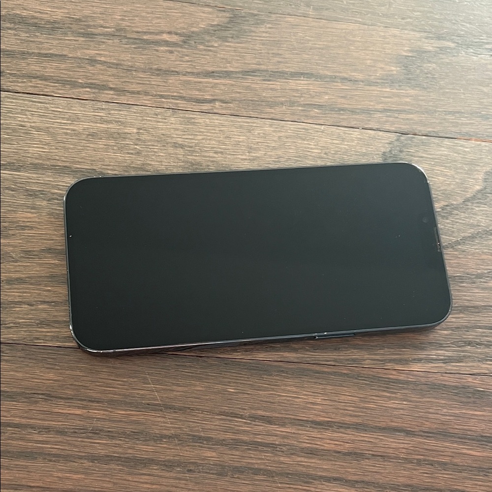 128GB Sierra Blue iPhone 13 ProMax Unlocked